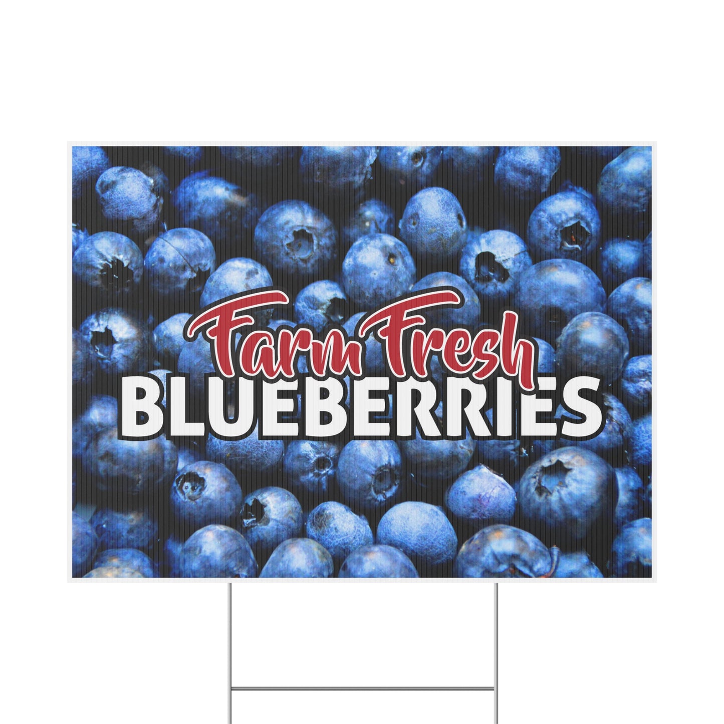 Farm Fresh Blueberries Yard Sign