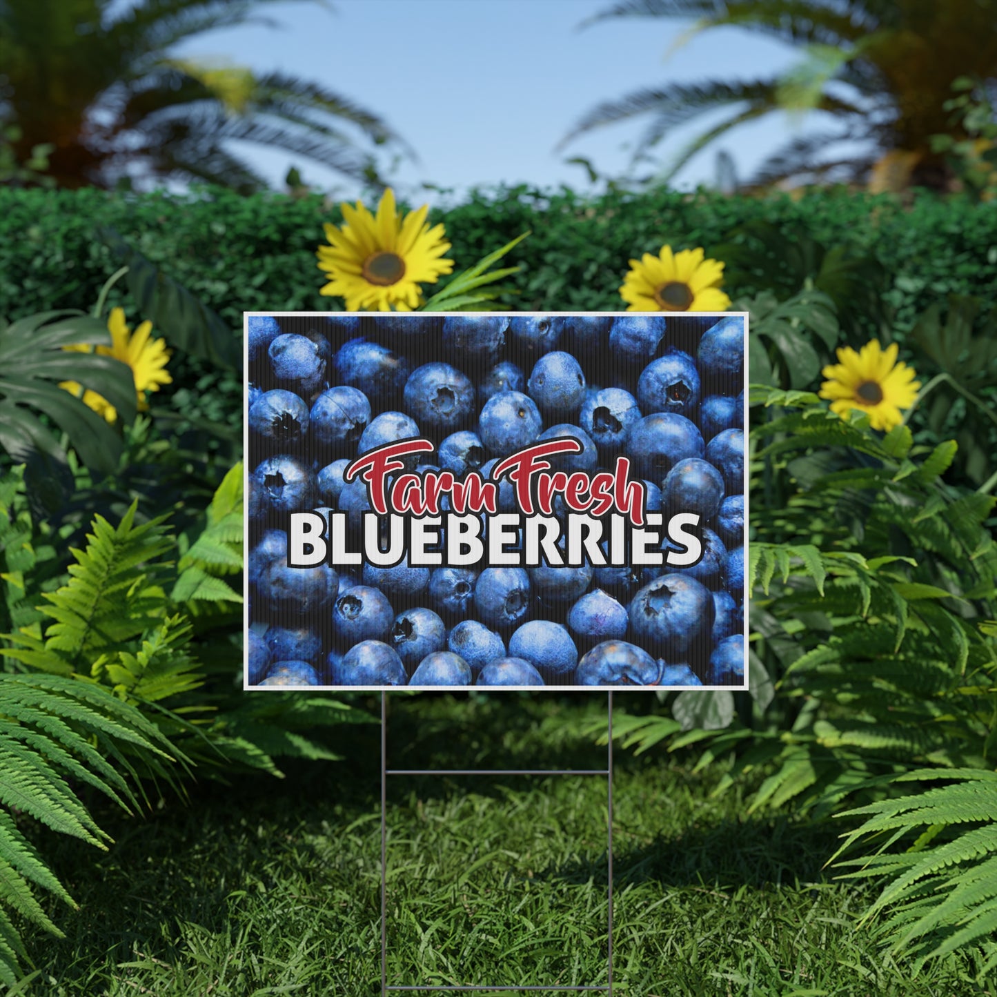 Farm Fresh Blueberries Yard Sign