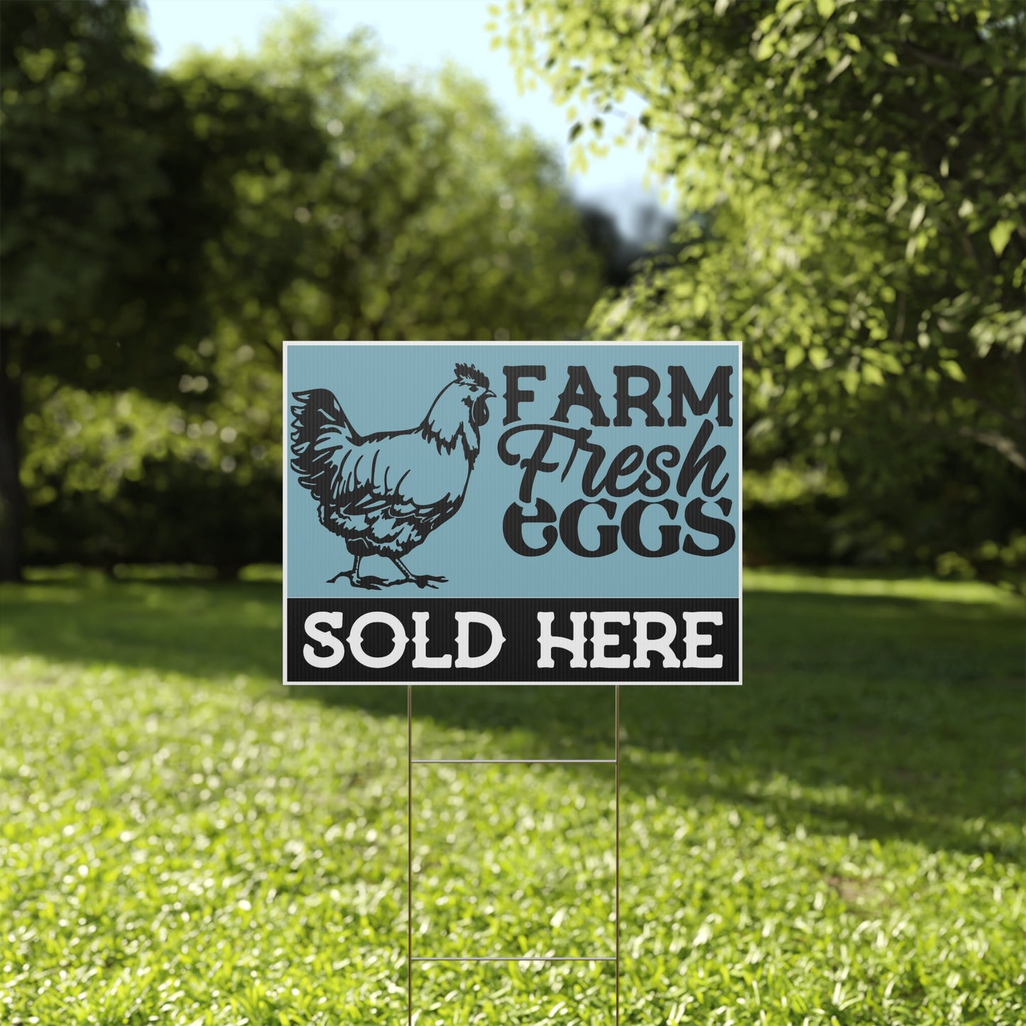 Chicken Eggs Sold Here Farm Fresh