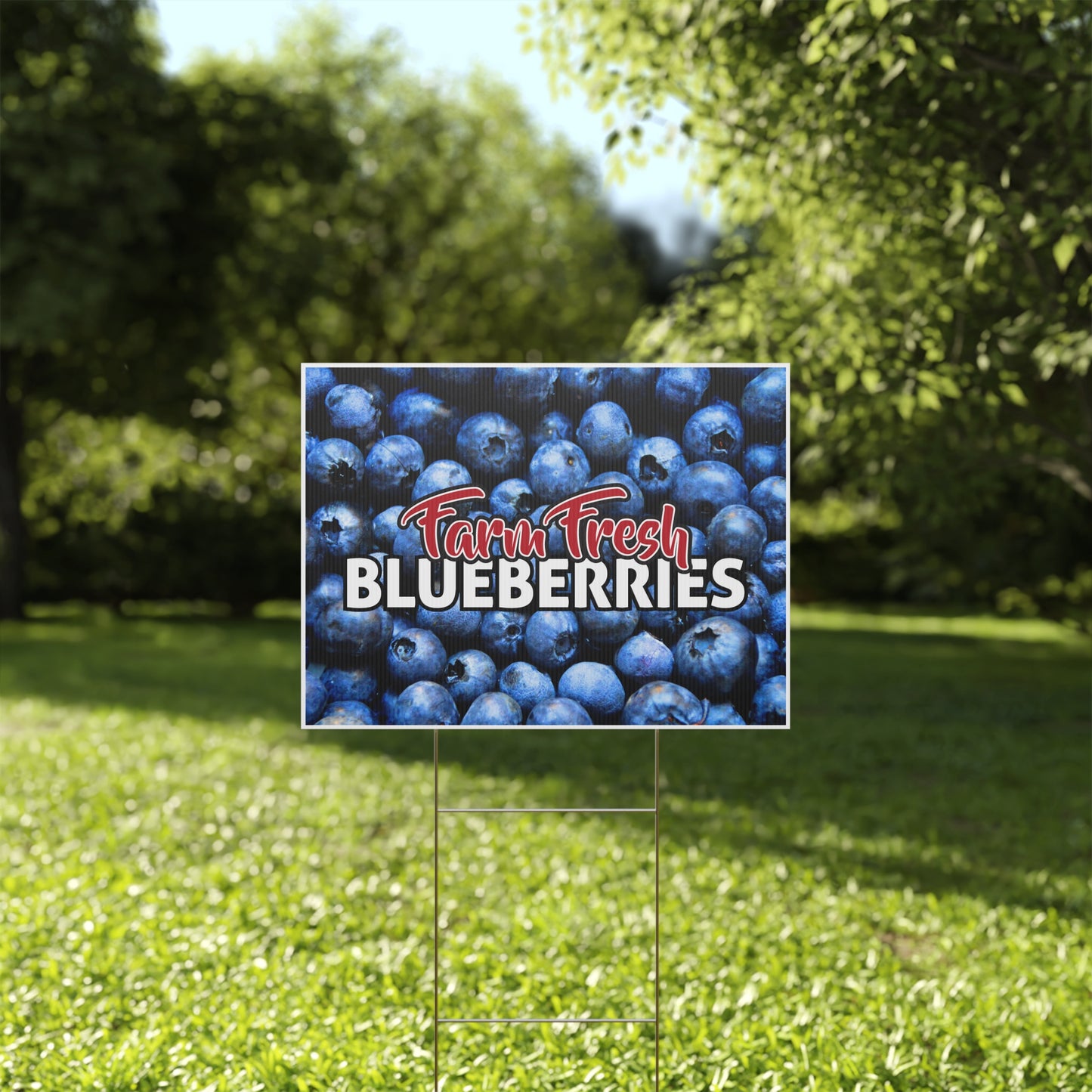 Farm Fresh Blueberries Yard Sign