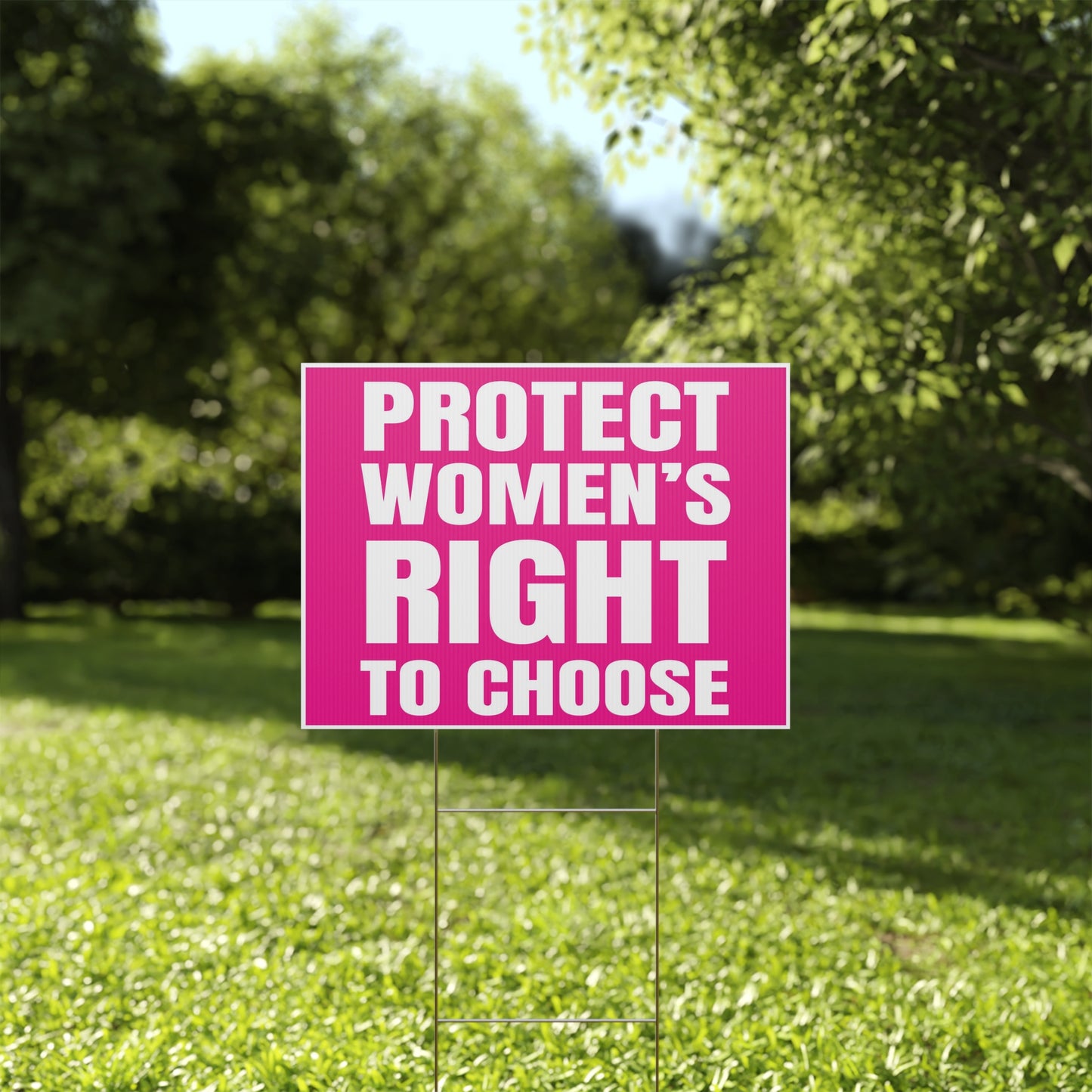 Protect Women's Right To Choose for Abortion Rights