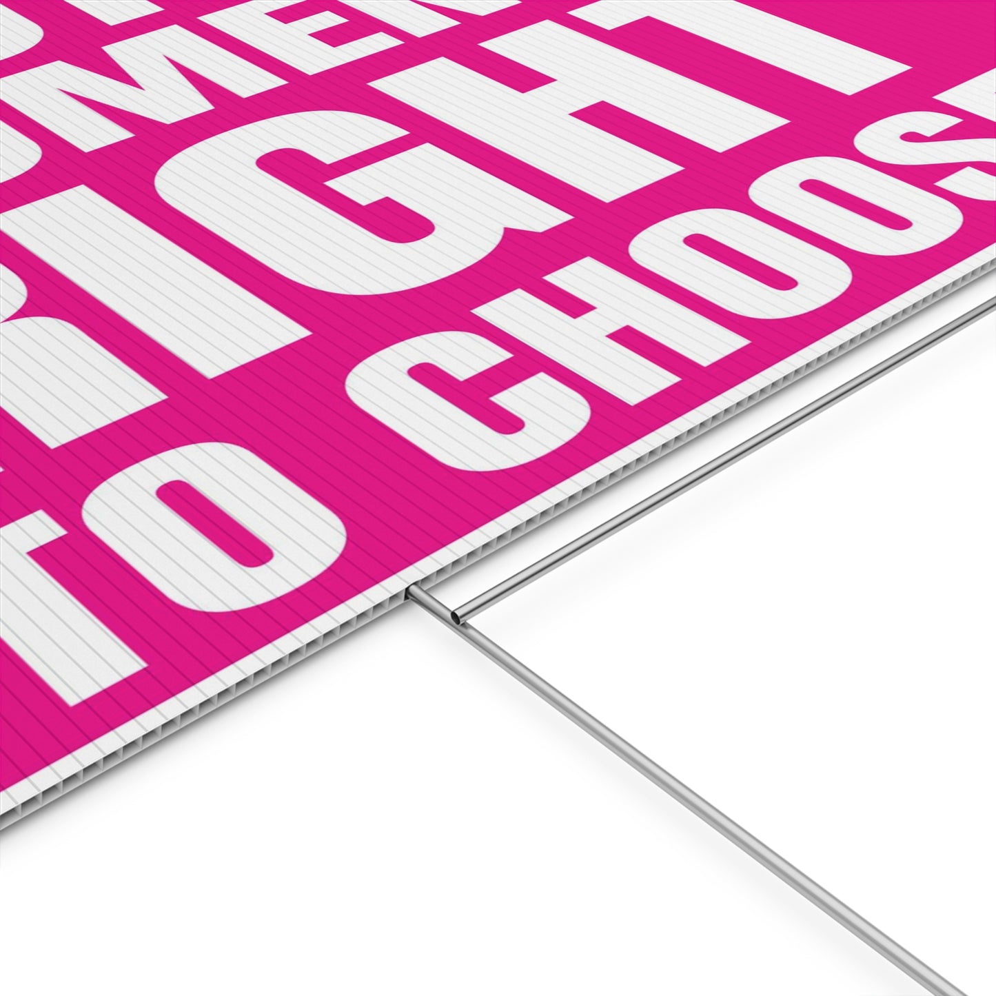 Protect Women's Right To Choose for Abortion Rights
