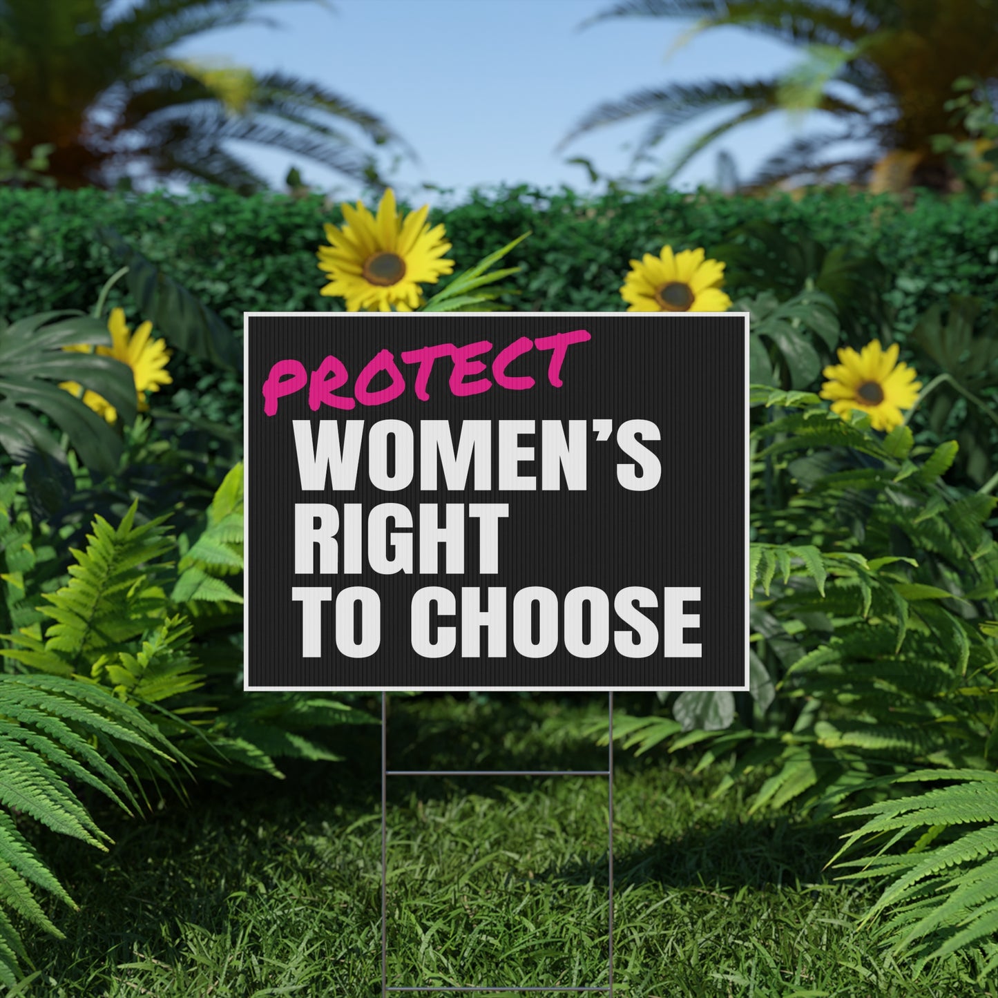 Protect Women's Right To Choose for Abortion Rights