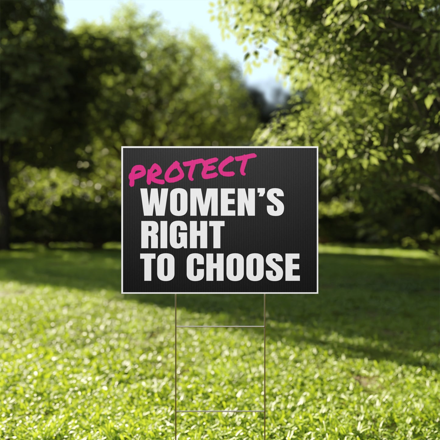 Protect Women's Right To Choose for Abortion Rights