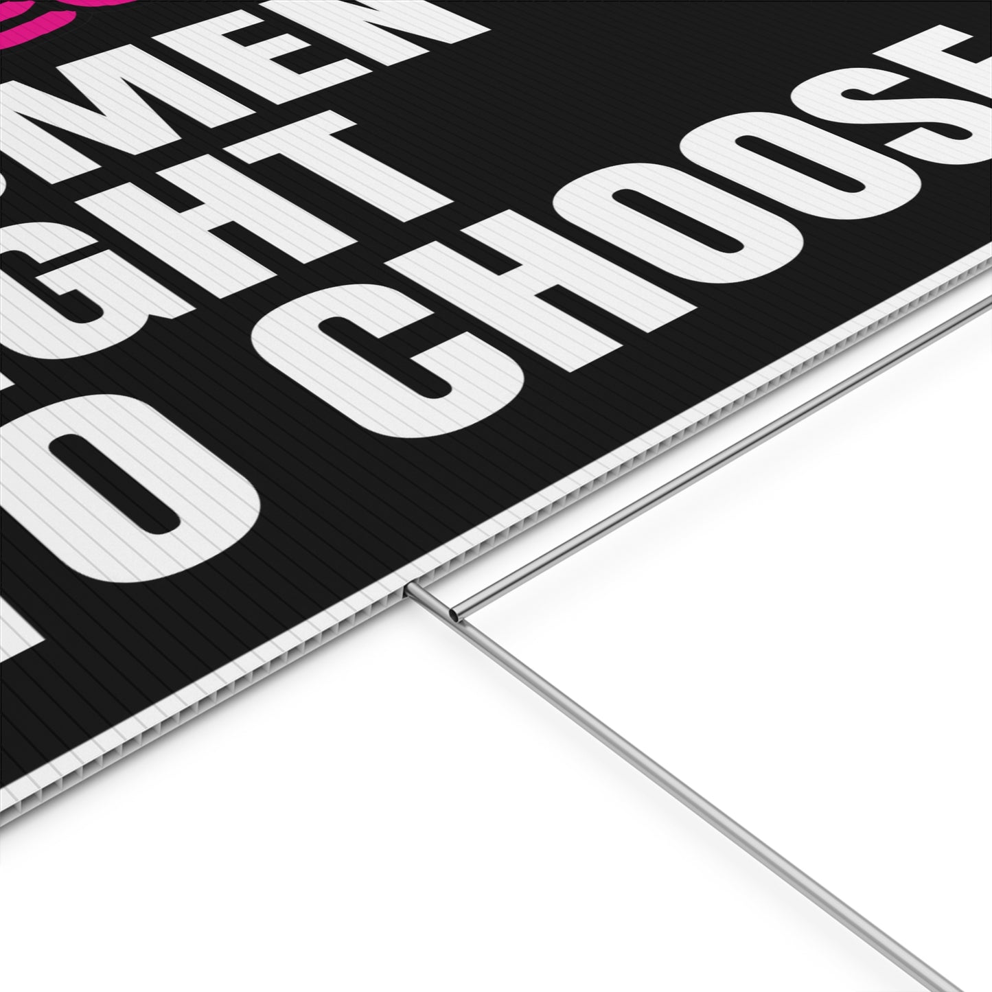 Protect Women's Right To Choose for Abortion Rights