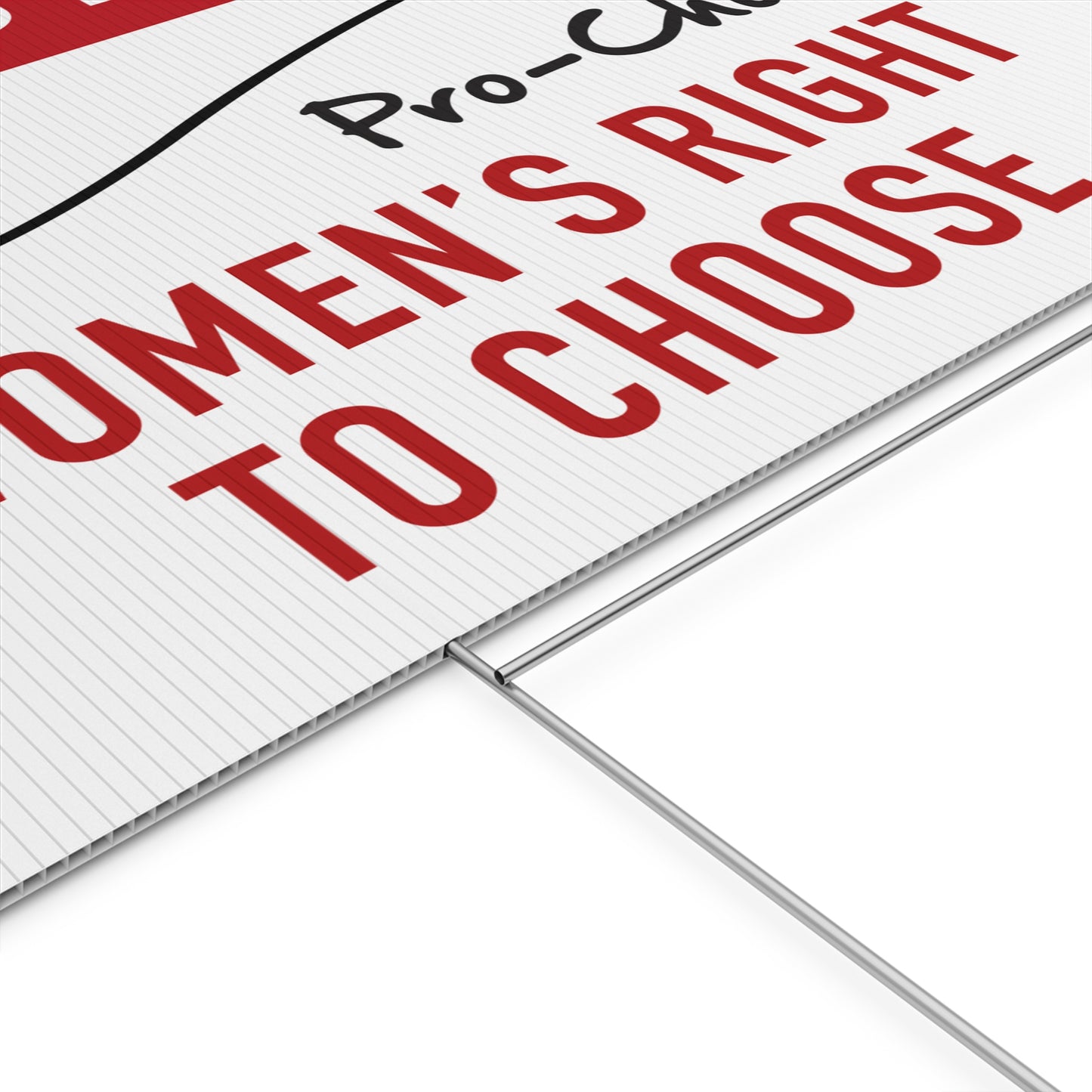Protect Women's Right To Choose for Abortion Rights