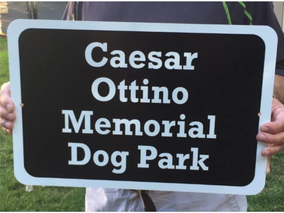 Custom Aluminum Sign Medium Size 18x12 Dog Park