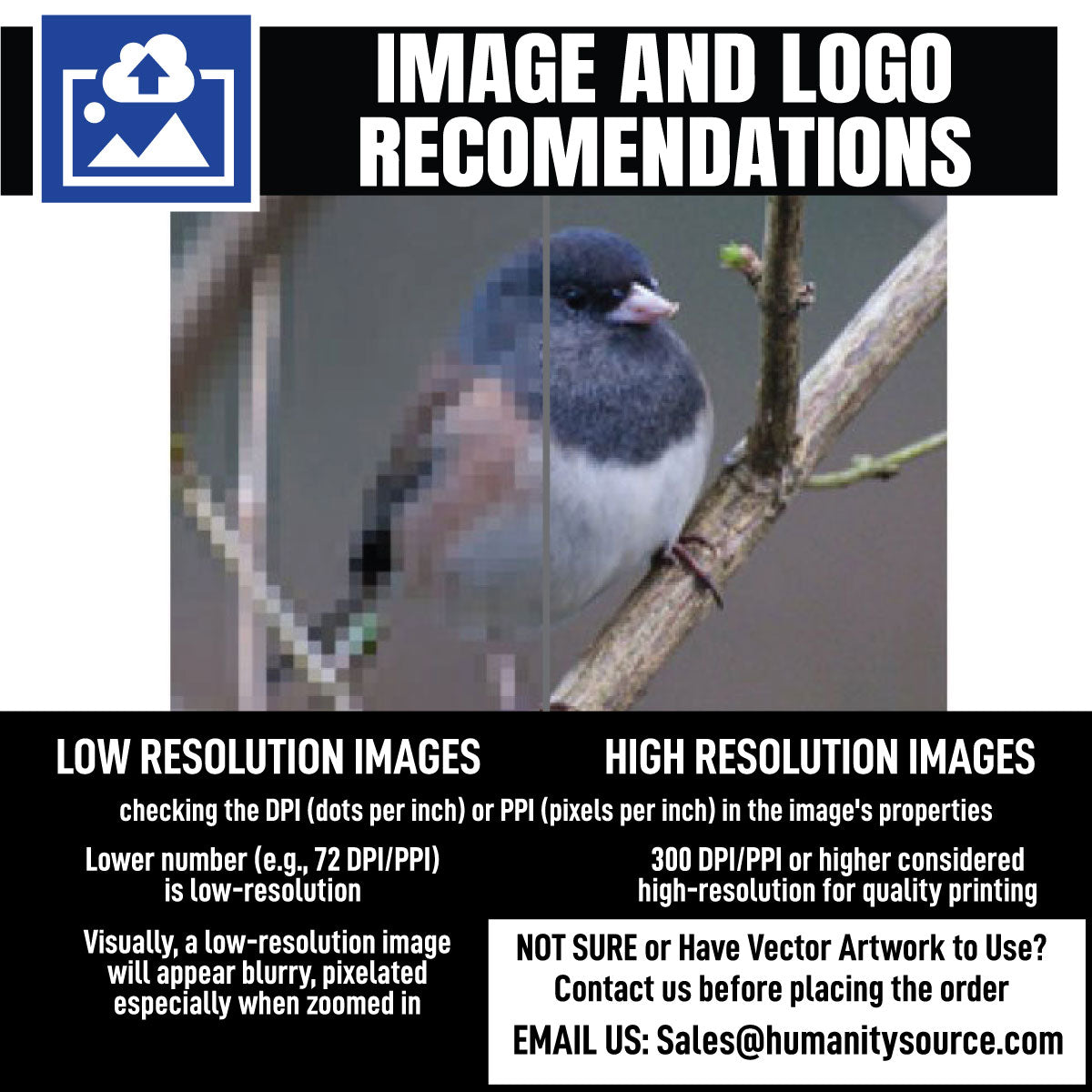 Bird perched on a branch with text about image resolution and contact information.