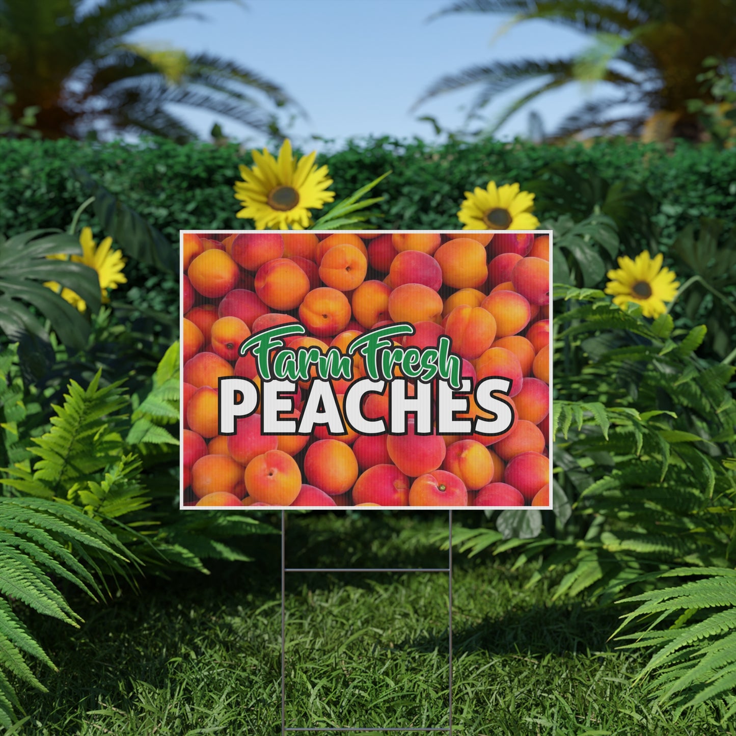 Farm Fresh Peaches Sign, Peach Yard Sign, 18x12, 24x18, 36x24, Double Sided, H-Stake Included
