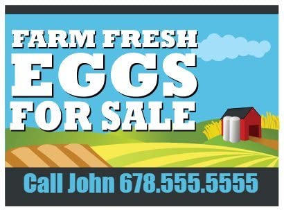 Custom Farm Fresh Eggs For Sale Yard Sign 18 x 24-inch (Outdoor, Weatherproof Corrugated Plastic) Metal H-Stake Included v1