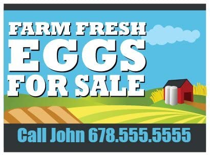 Custom Farm Fresh Eggs For Sale