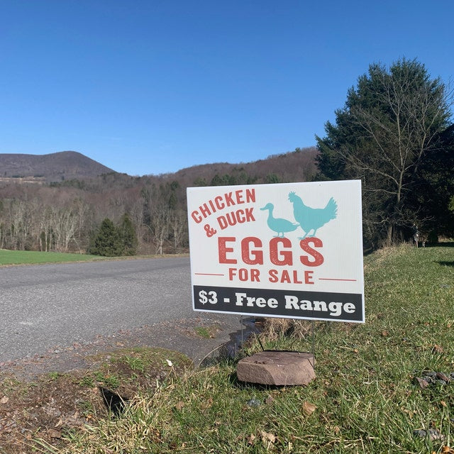 Chicken and Duck Eggs For Sale Yard Sign, Custom, Personalize, 18x24 Inch, Metal H-Stake Included v4